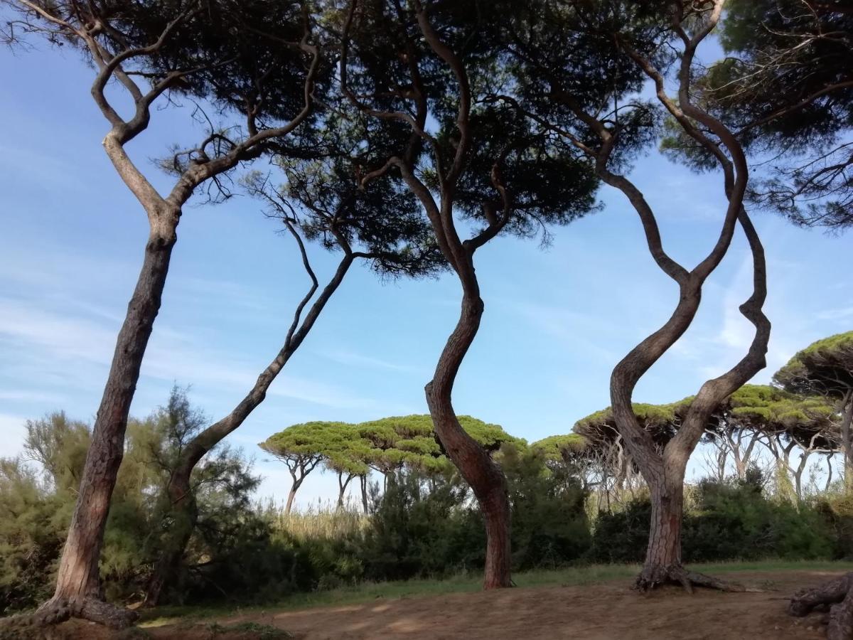 Casa Jacaranda Βίλα Monteverdi Marittimo Εξωτερικό φωτογραφία