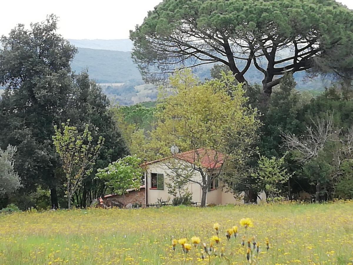Casa Jacaranda Βίλα Monteverdi Marittimo Εξωτερικό φωτογραφία